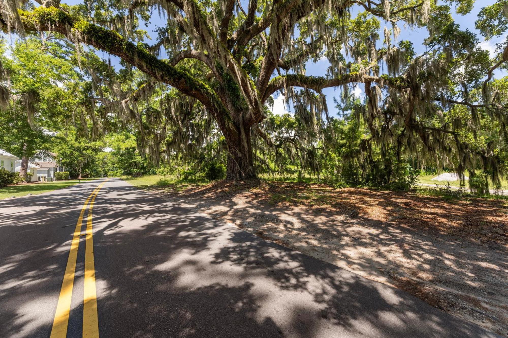Low Country Cottage In Beautiful Habersham Бофорт Екстер'єр фото